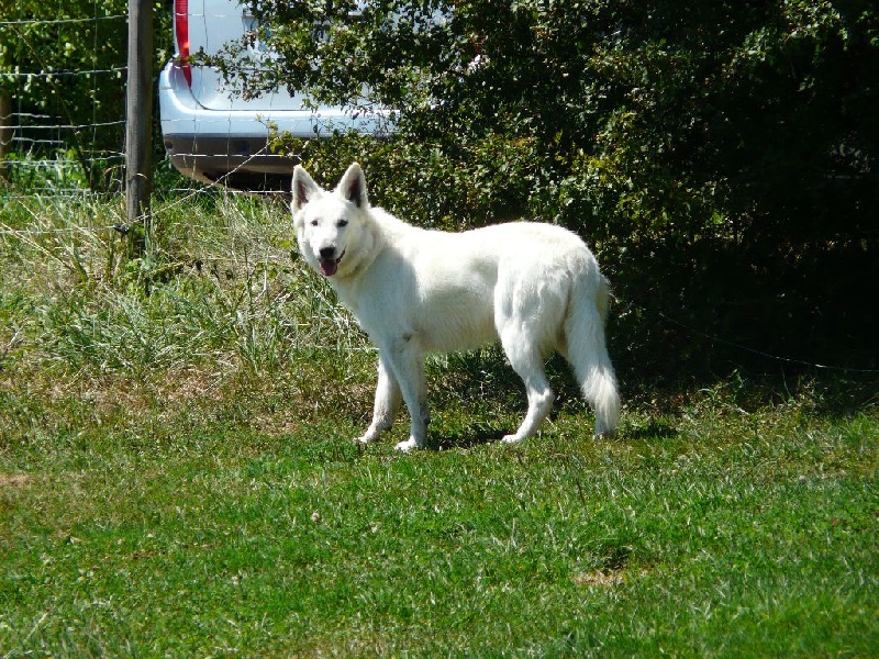 June De La Grange De La Forêt